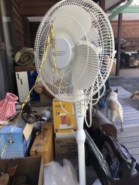 Vendor